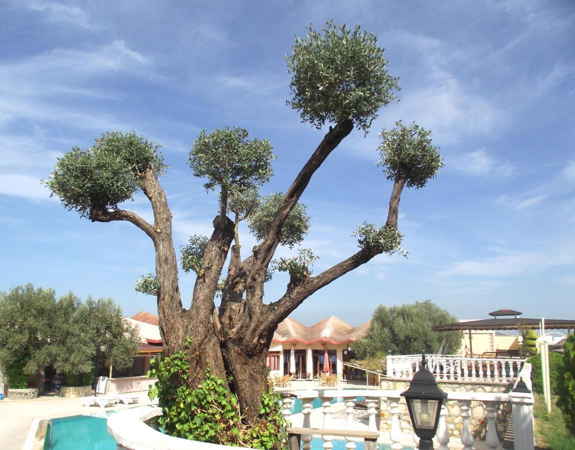 Alize Resort Hotel Yenifoca Bagian luar foto